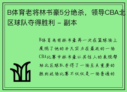 B体育老将林书豪5分绝杀，领导CBA北区球队夺得胜利 - 副本